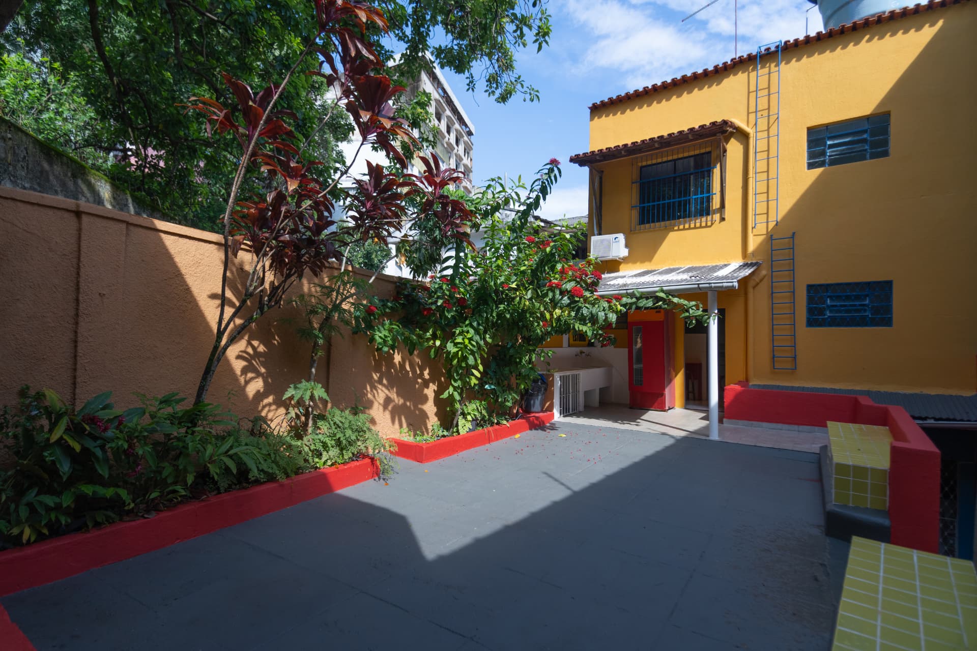 Pátio externo da sede da MOLAA, com paredes coloridas e vegetação